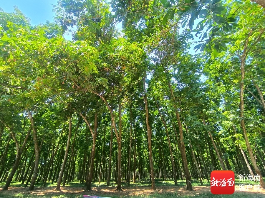 9331e6c7b65d4f6c9748b04e453345d1